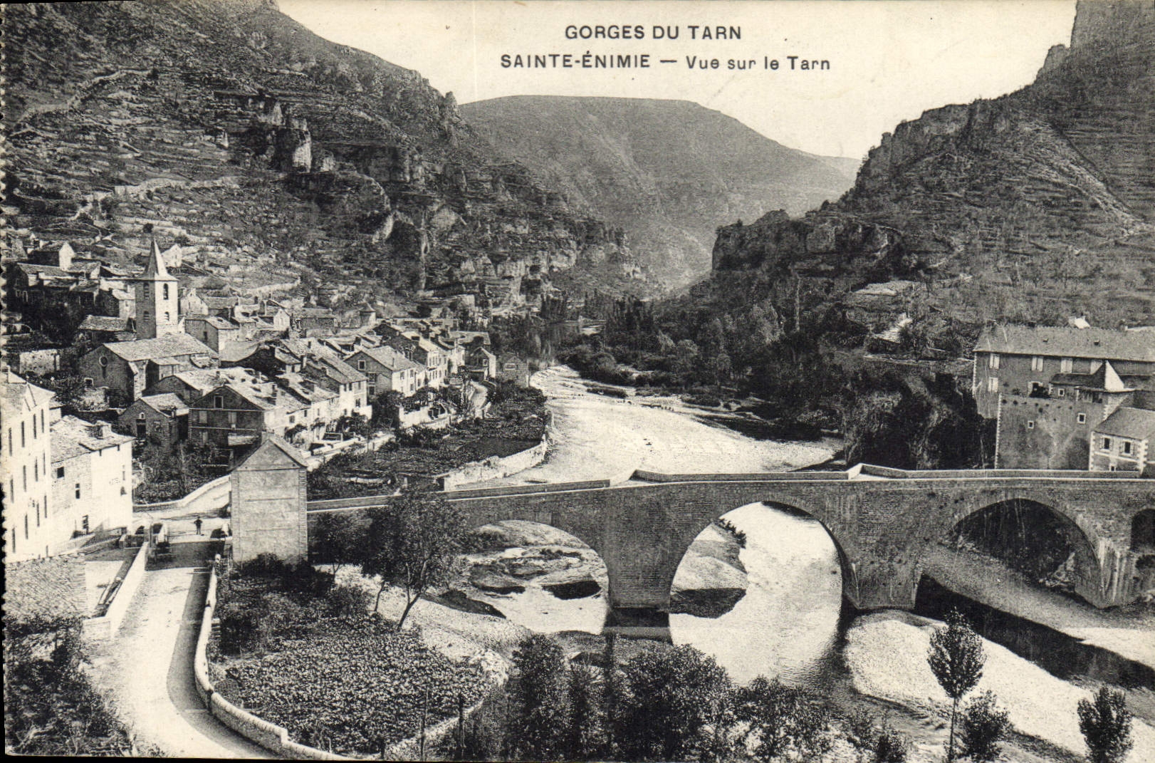 CPA Gorges du Tarn Sainte Enimie vue sur le Tarn 