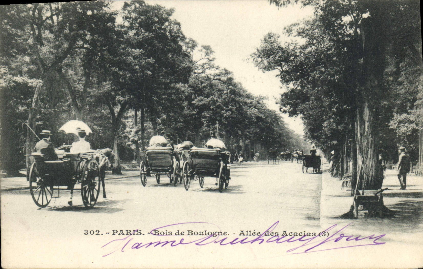 CPA Paris Bois de Boulogne Allee des Acacias 
