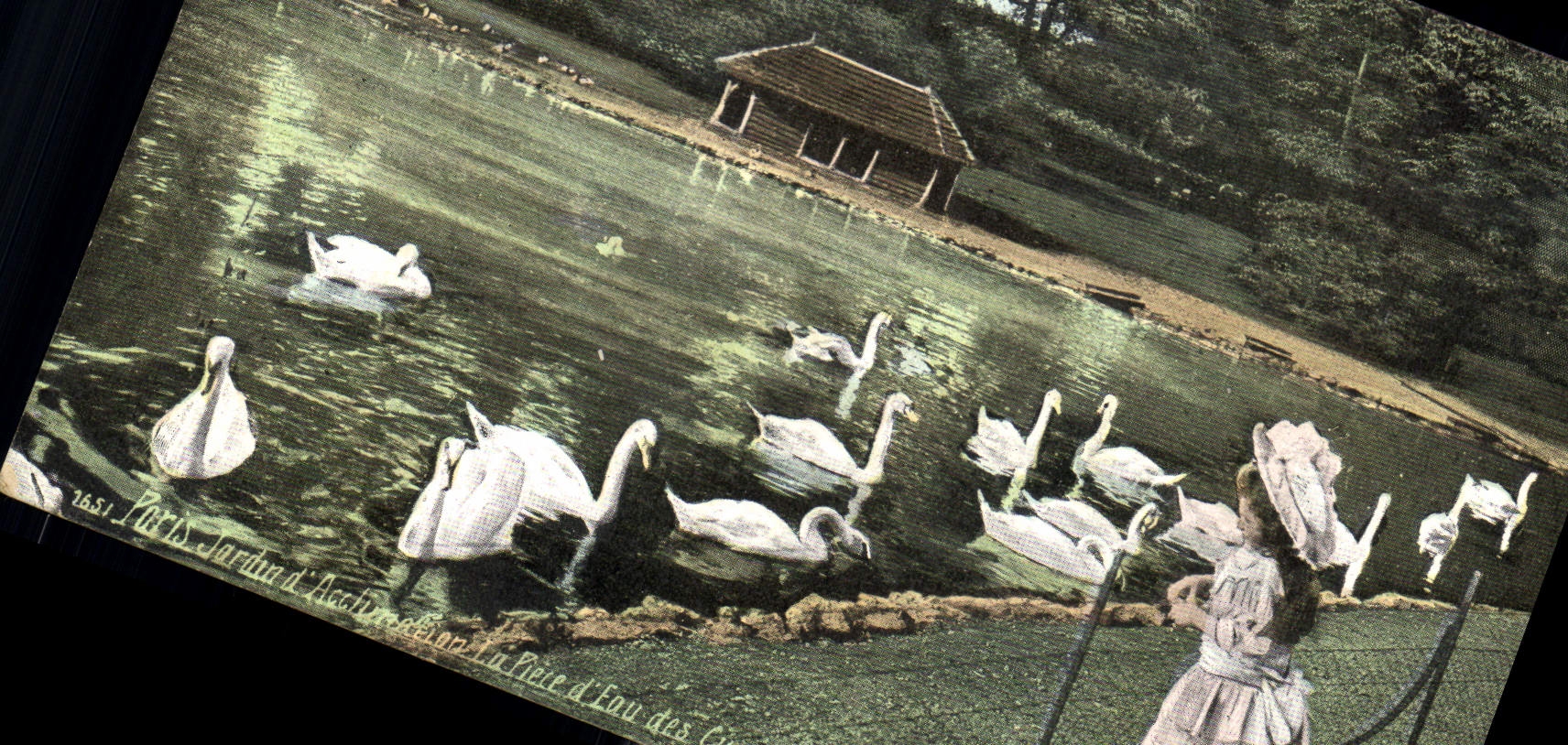 CPA Paris Jardin Piece d'Eau 