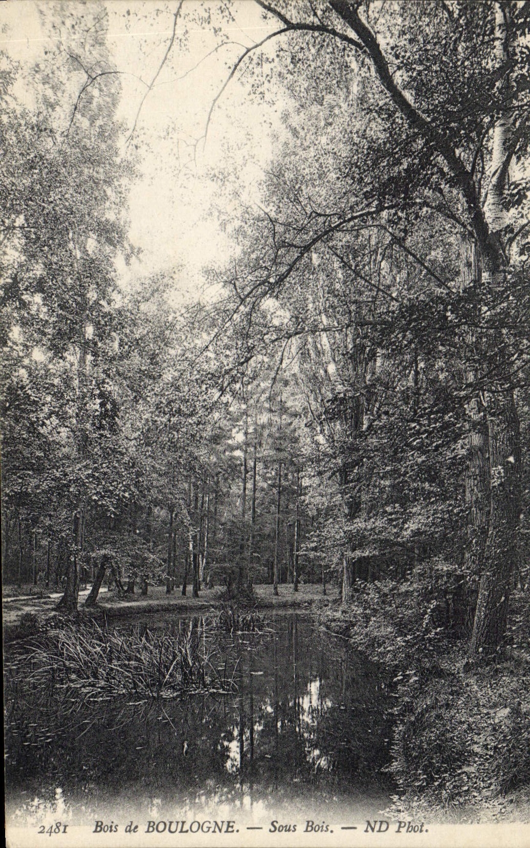 CPA Bois de Boulogne sous Bois 