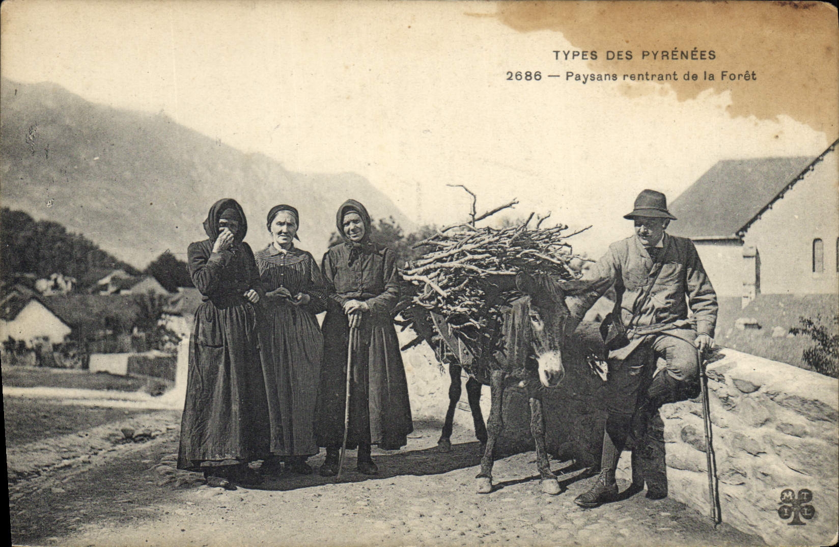CPA Types des Pyrenees Paysane rentrant de la Foret Ane Mule
