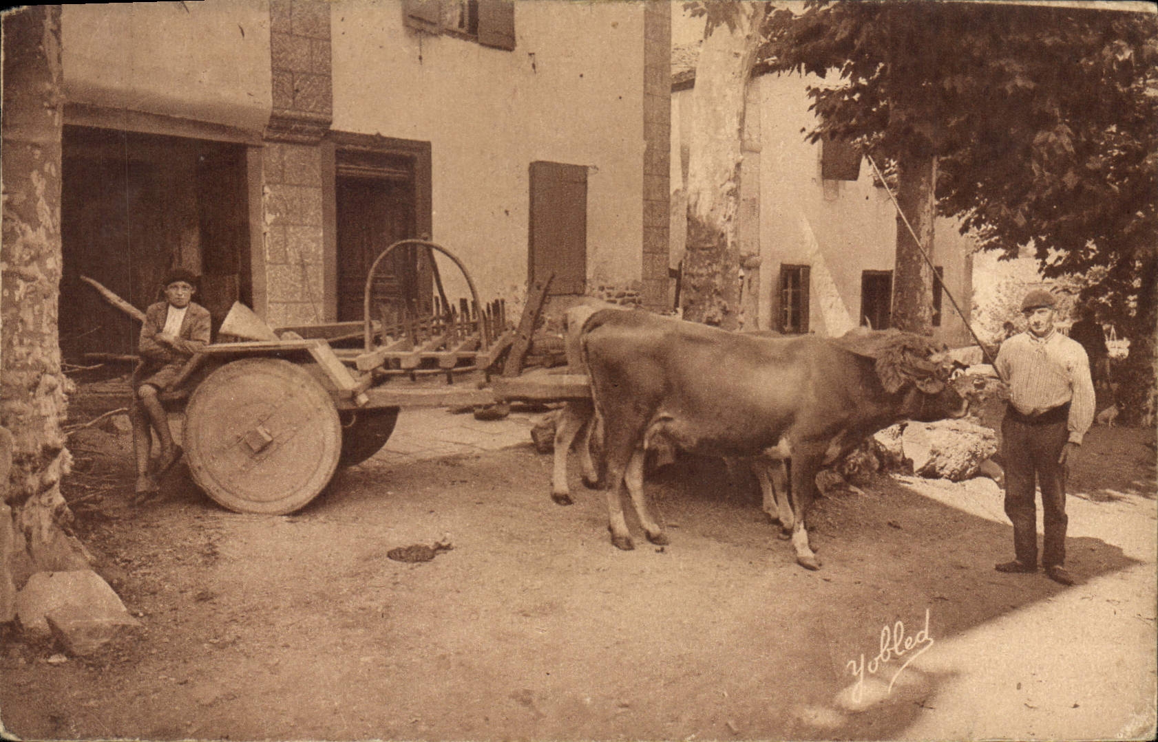 CPA Au Pays Basque Char a boeufs pour la montagne roues pleues