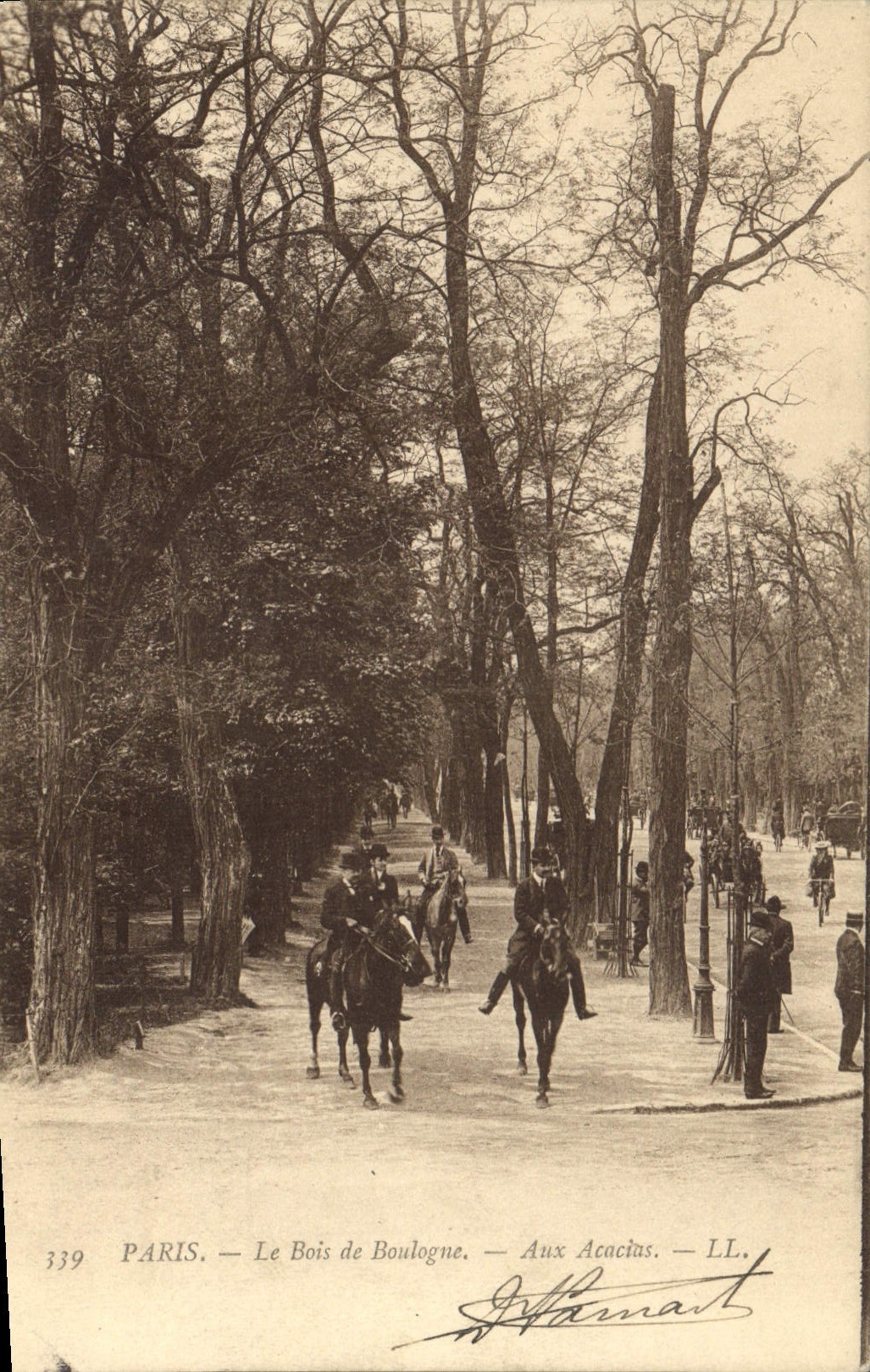 CPA Paris Le Bois de Boulogne Aux Acucias