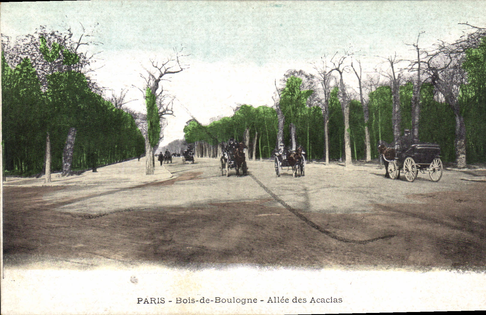 CPA Paris Bois de Boulogne Allee des Acacias 