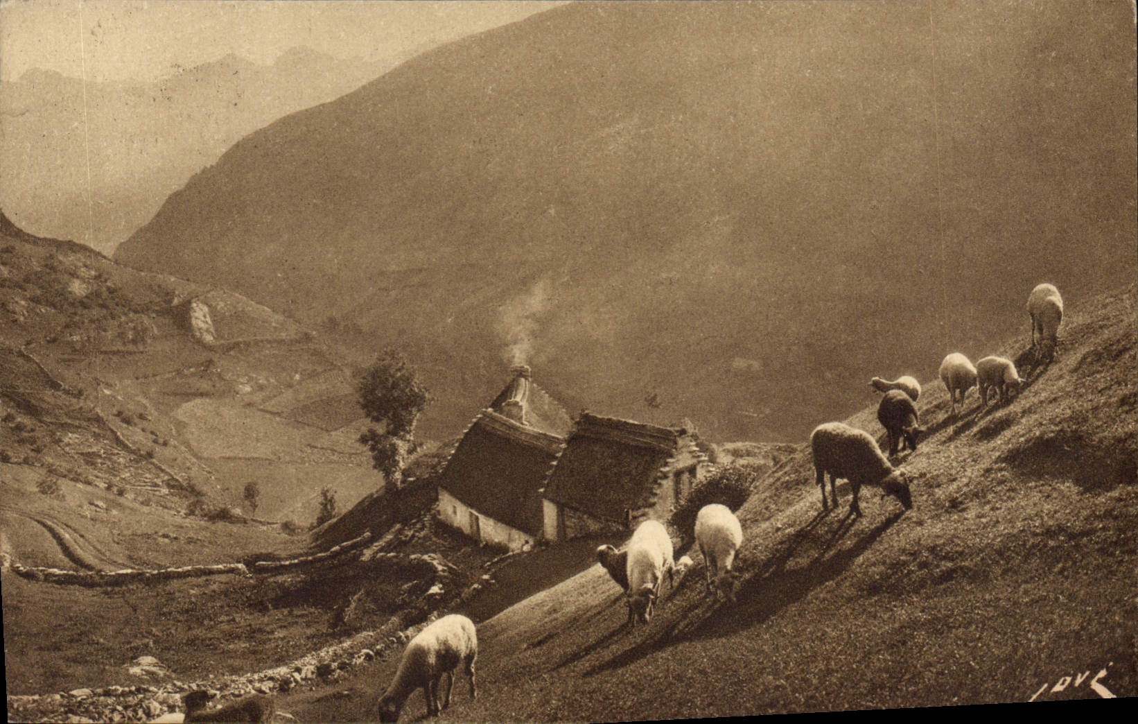 CPA Gavarnie H P Paturages dans la Montagne Berger Moutons