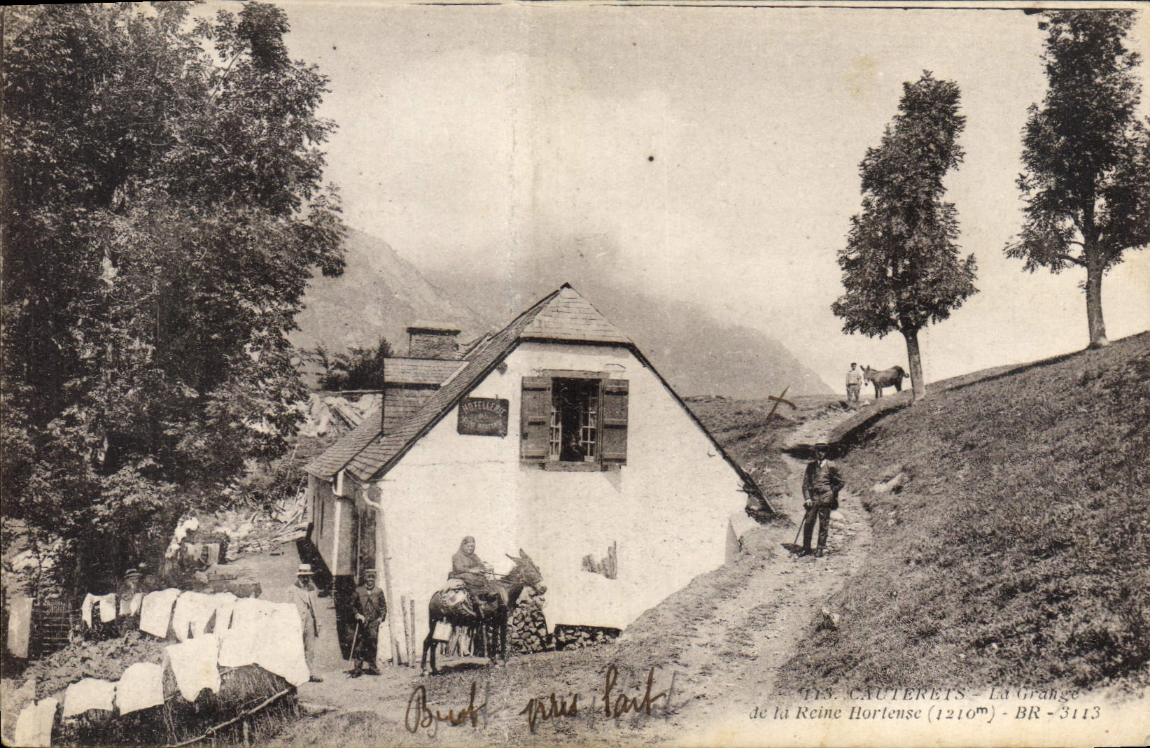CPA Cauterets de la Reine Hortense 
