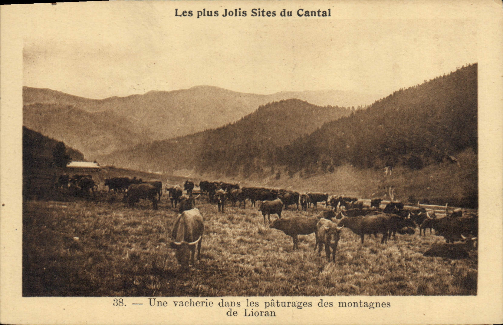 CPA Les plus Jolis Sites du Cantal Une Vacherie dans les paturages des montagnes de Lioran