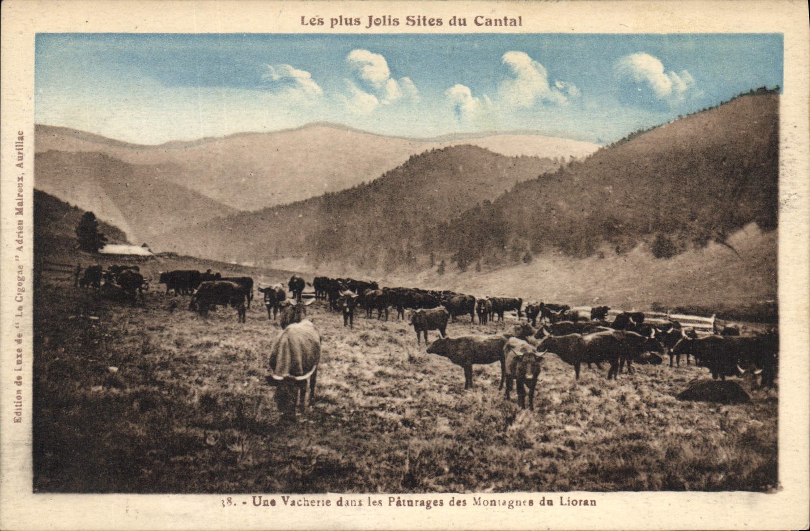 CPA Les plus Jolis Sites du Cantal Une Vacherie dans les Paturages des Montagnes du Lioran Vaches