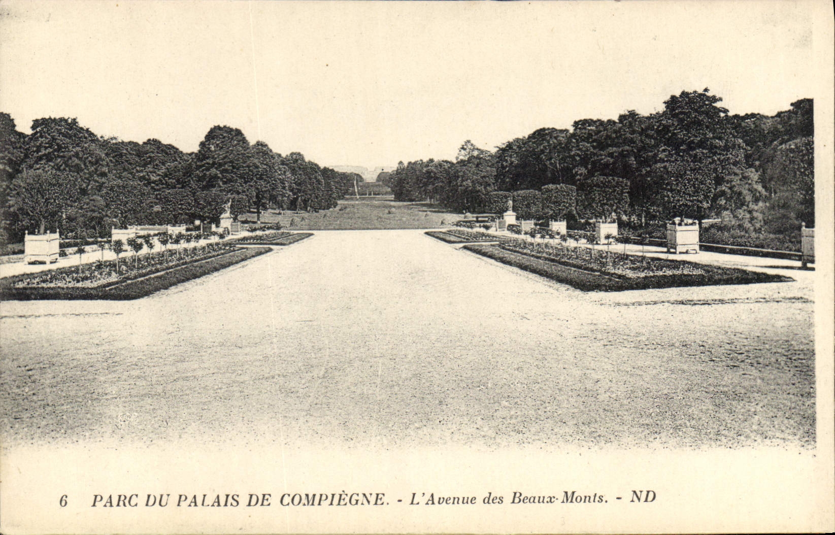 CPA Parc du Palais de Compiegne L'Avenue des Beaux Monts 