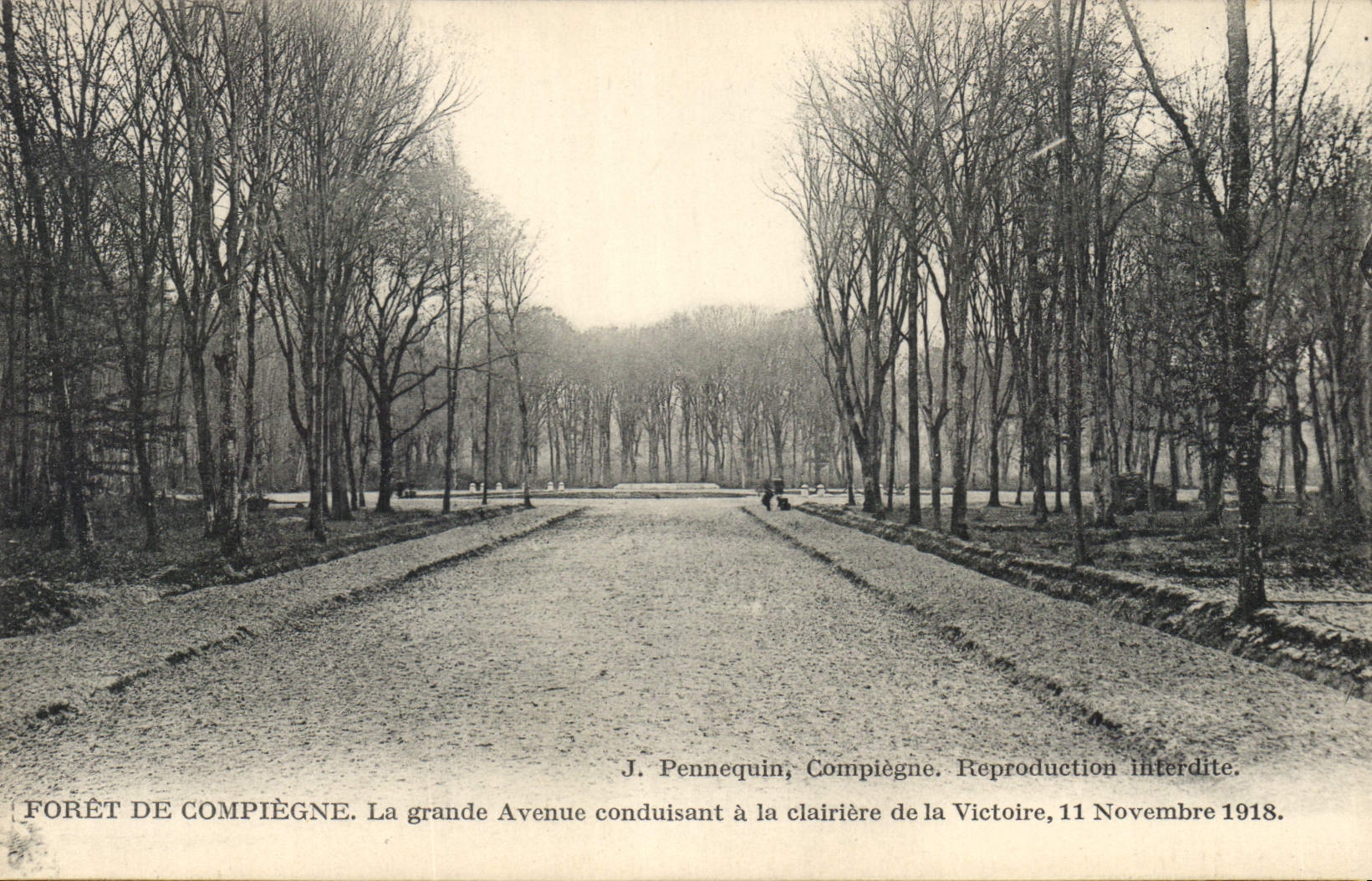 CPA Foret de Compiegne La Grande Avenue conduisant a la clairiere de la Victoire 