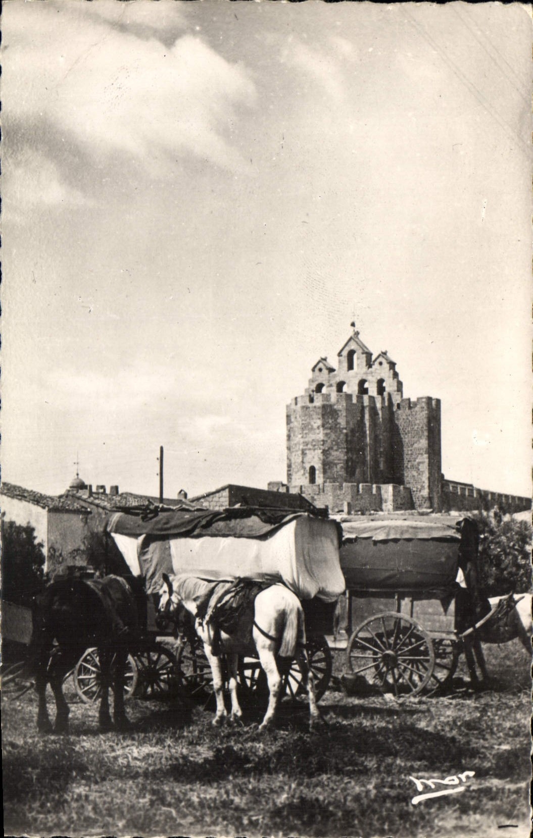 CPA La Camargue Stes Maries de la Mer Campement de Gitans Tsiganes
