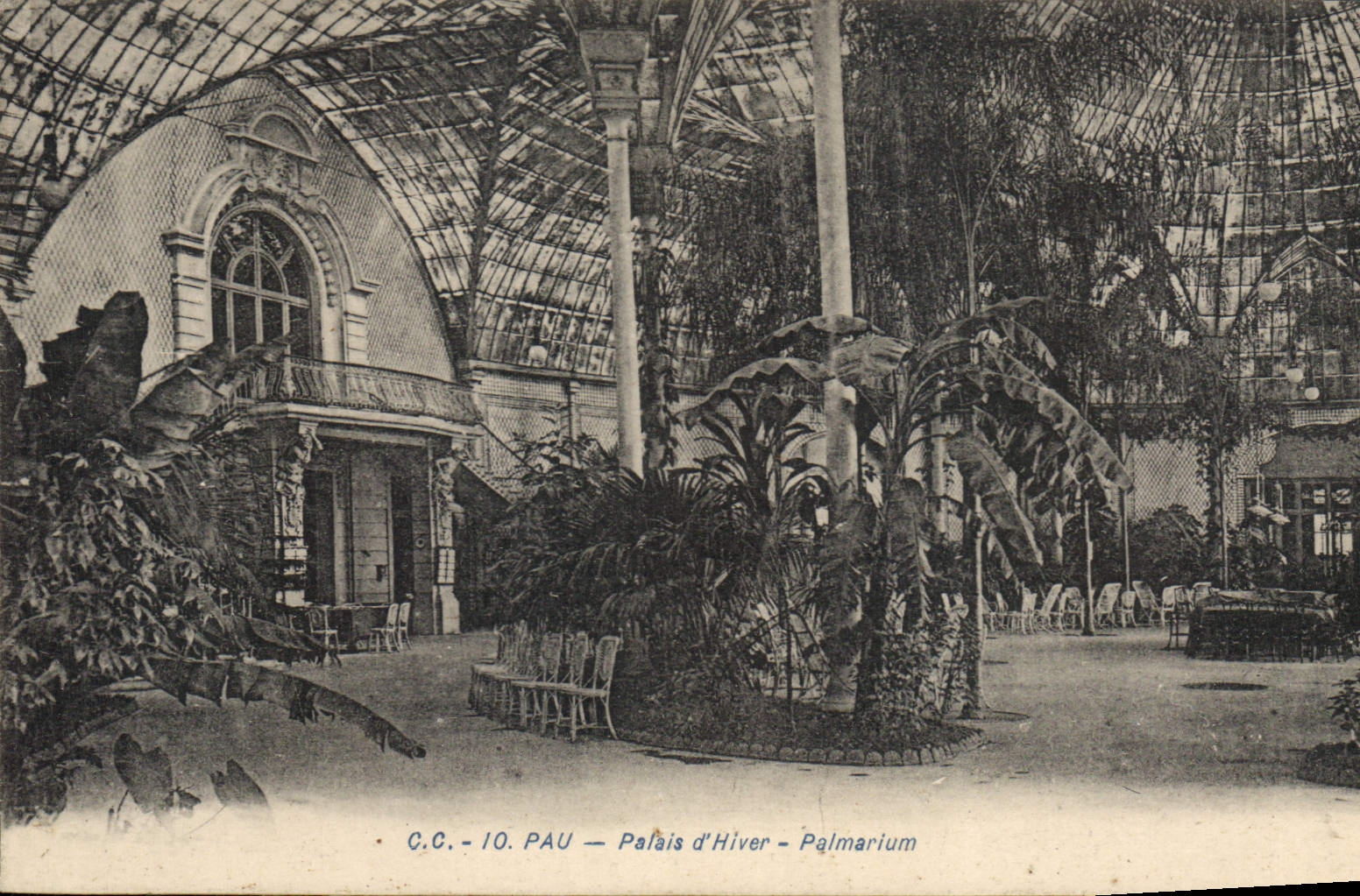 CPA Pau Palais d'Hiver Palmarium 