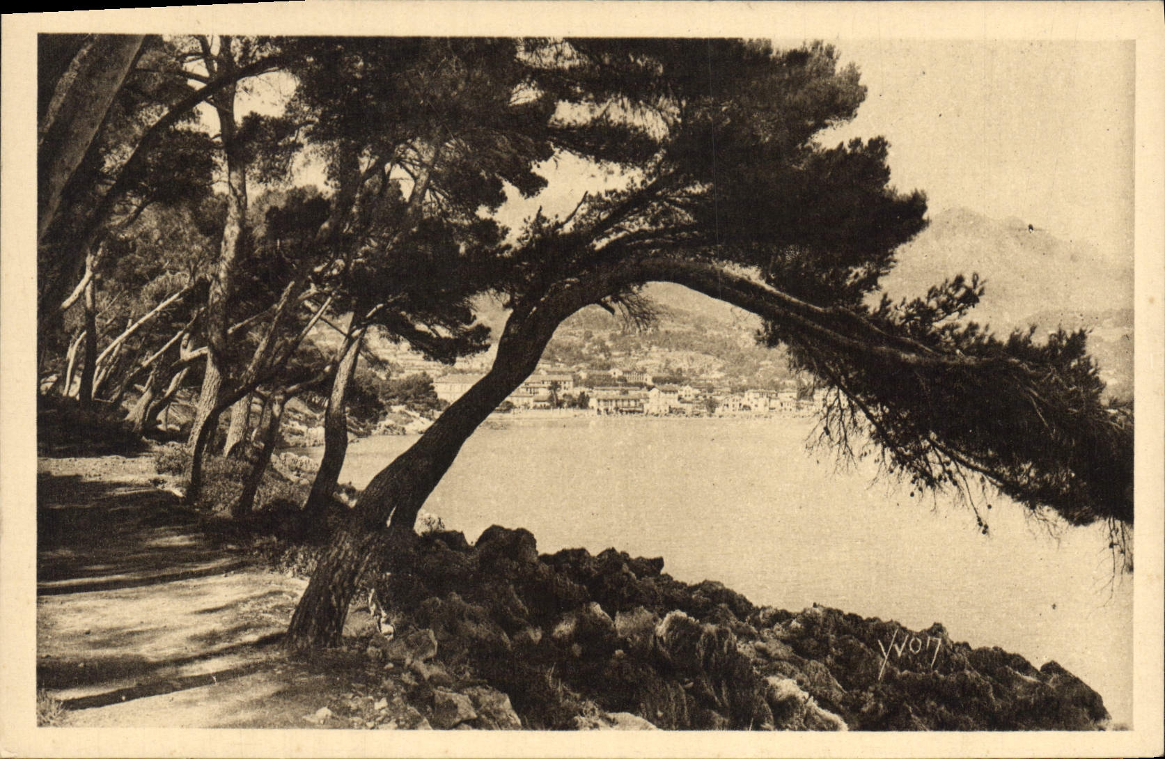 CPA La Douce France Cote d'Azur Menton Cap Martin Sentier dans la Pinede