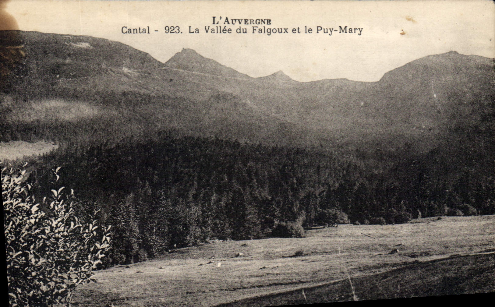 CPA L'Auvergne Cantal La Vallee du Falgoux et le Puy Mary