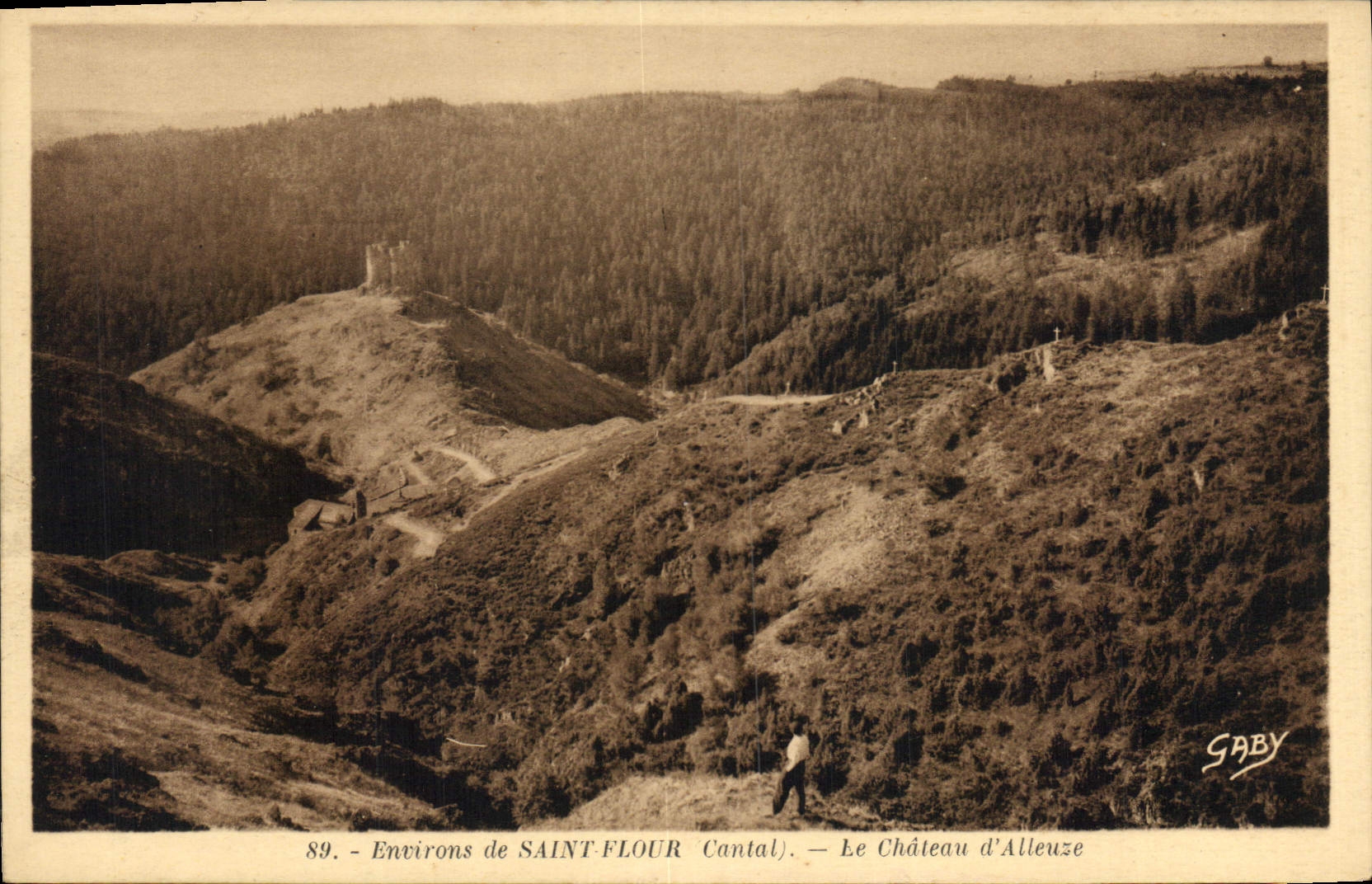 CPA Environs de Saint Flour Cantal Le Chateau d'Alleuze
