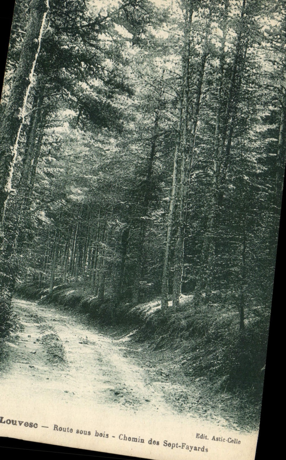 CPA La Louvesc Route sous bais Chemin don Sept Fayards 