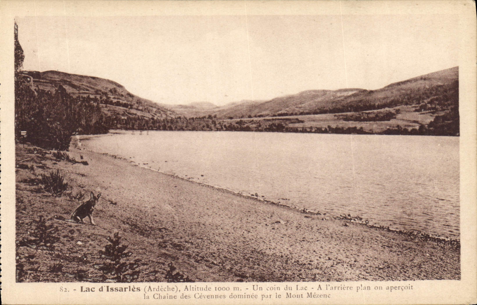 CPA Lac d'Issarles Ardeche Ardeche Un coin du Lac 