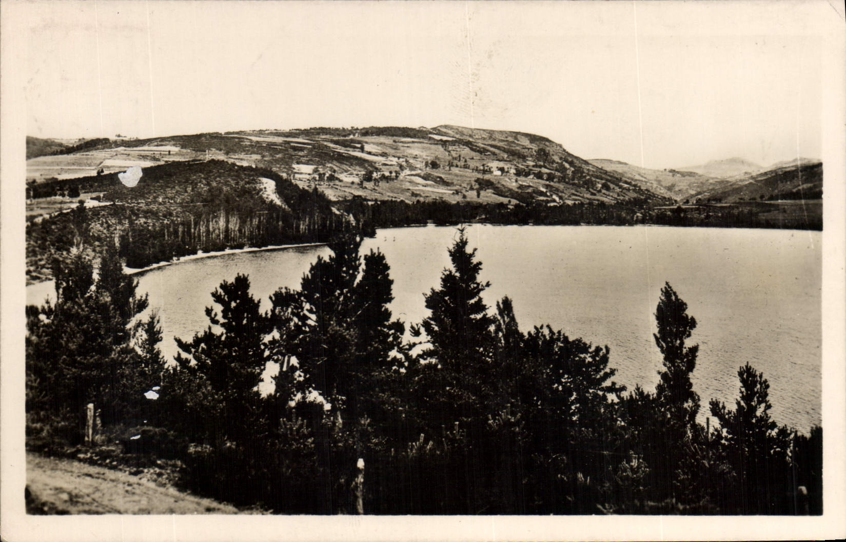 CPA Lac d'Issarles Ardeche Un coin du Lac 