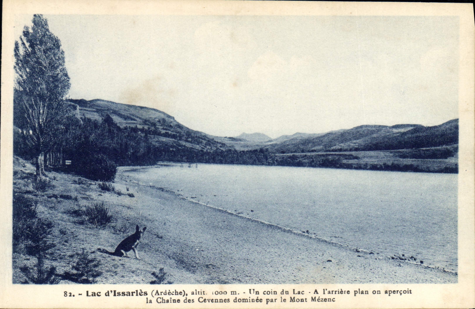 CPA Lac d'Issarles Ardeche Un coin du Lac