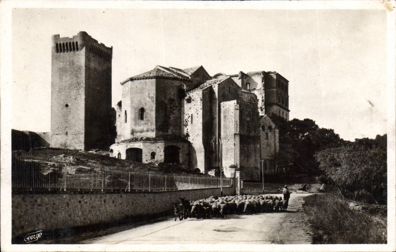CPA Montmajour Abbaye XII siecle Berger Moutons Ane Mule