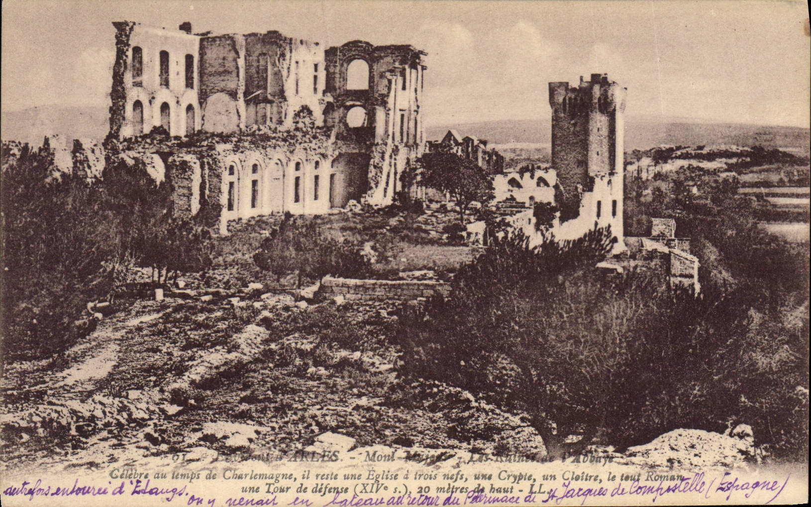 CPA Environs d'Arles Mont Major les Ruines de l'Abbaye