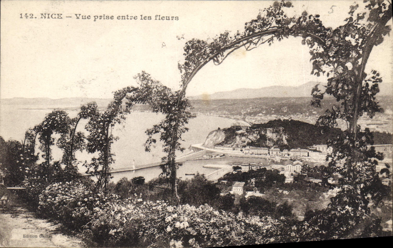 CPA Nice Vue prise entre les fleurs 