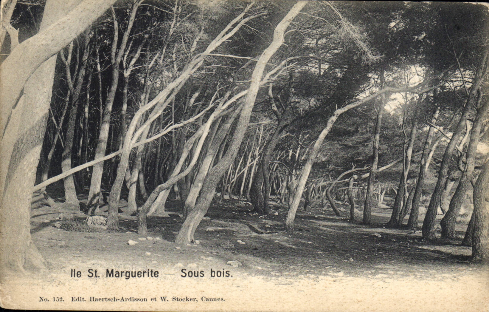 CPA Ile St Marguerite sous Bois