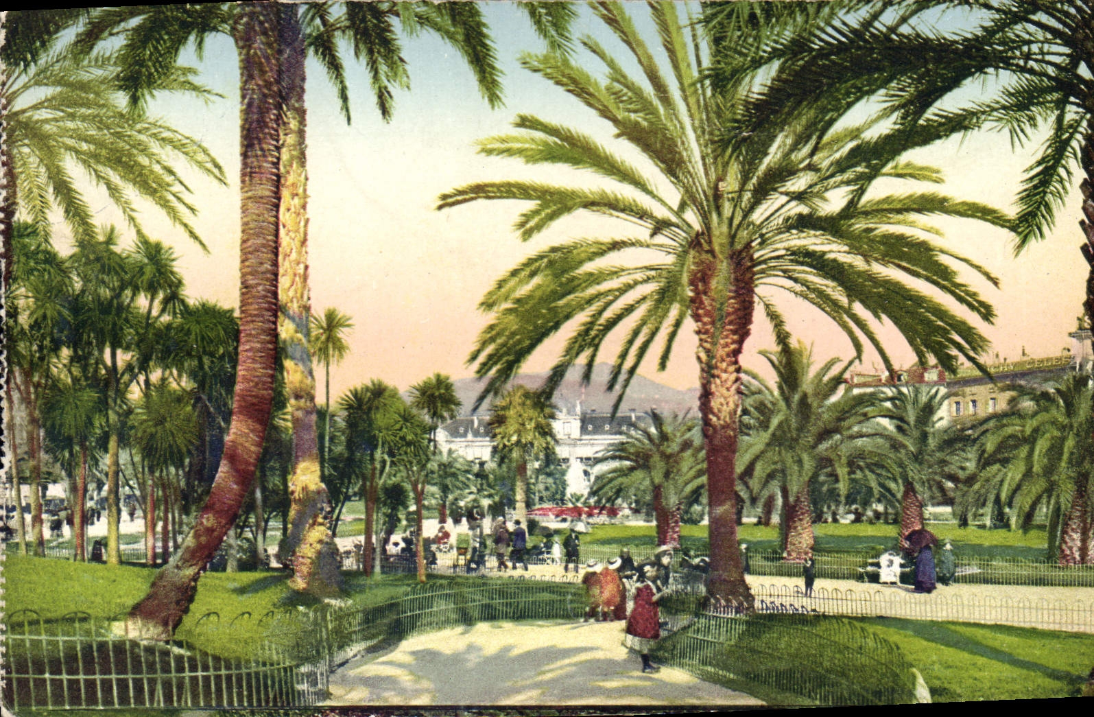 CPA Nice jardins Albert Etude de Palmier 