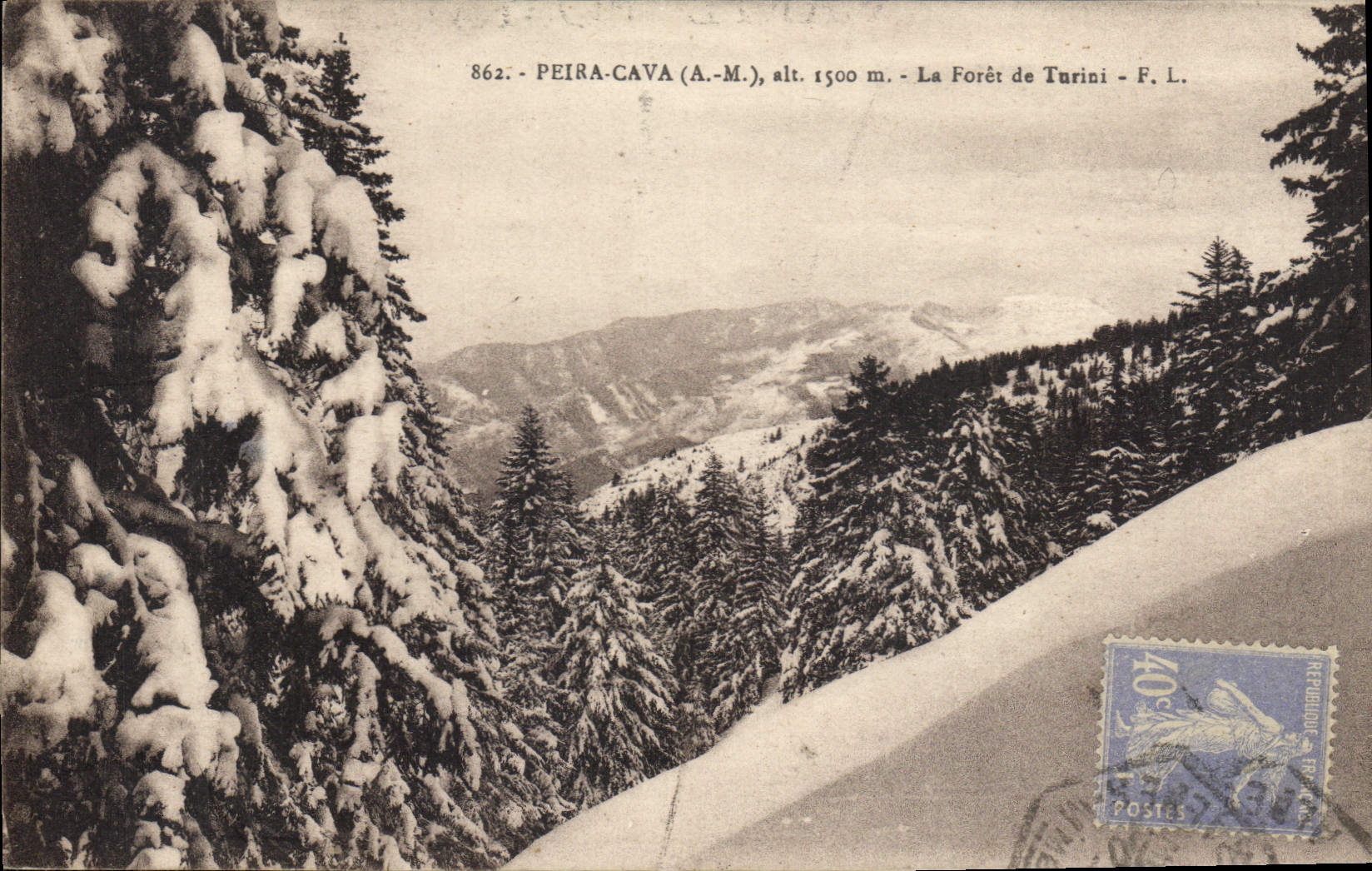 CPA Peira Cava A M la Foret de Turini 