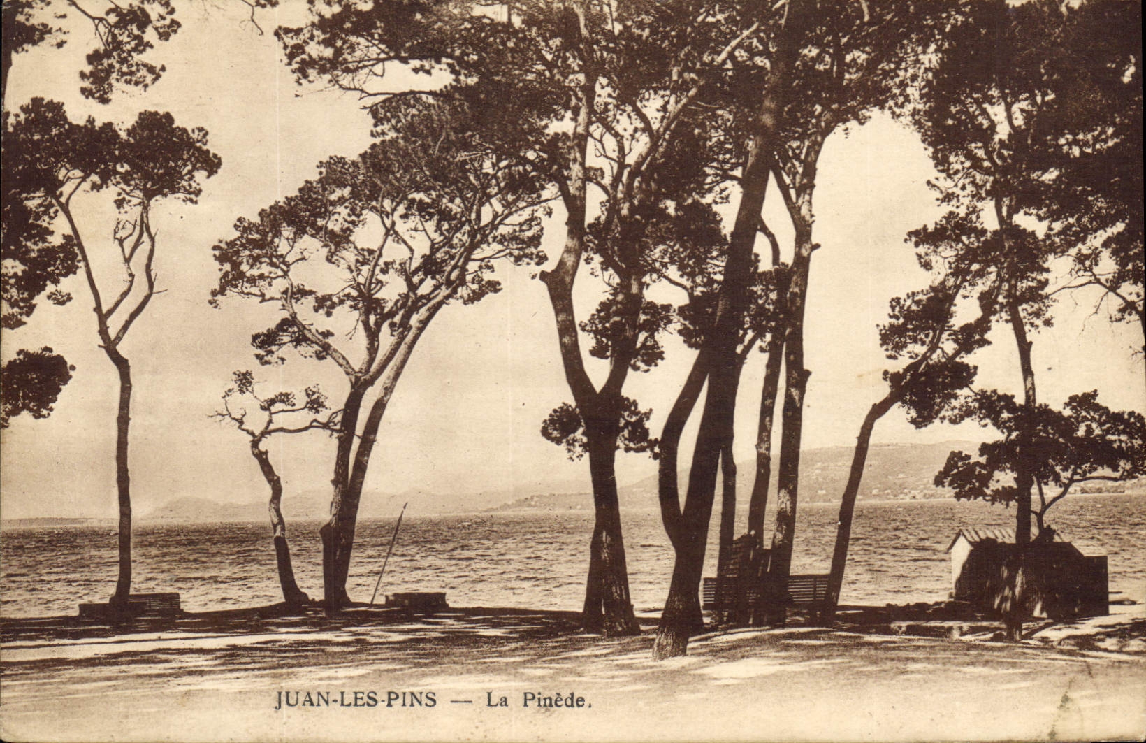 CPA Juan les Pins la Pinede 