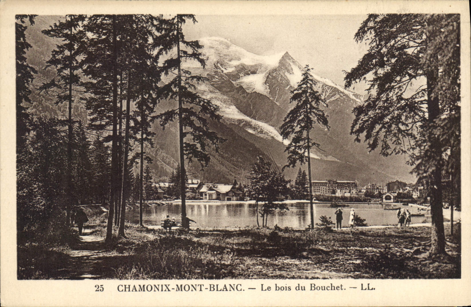 CPA Chamonix Mont Blanc le Bois du Bouchet 