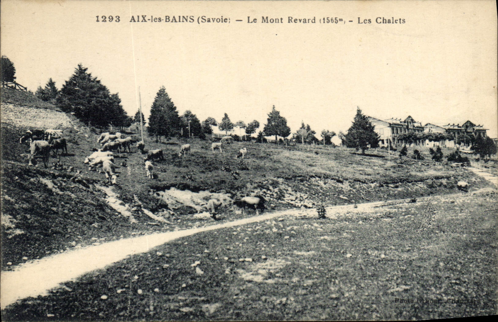 CPA Savoie Le Mont Revard Aix les Bains Les Chalets Vaches