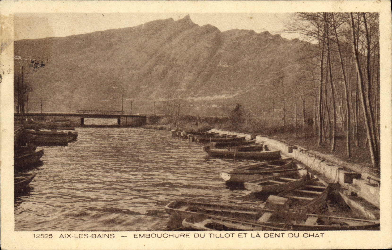 CPA Aix les Bains Embouchure du Tillot et la Dent du Chat 