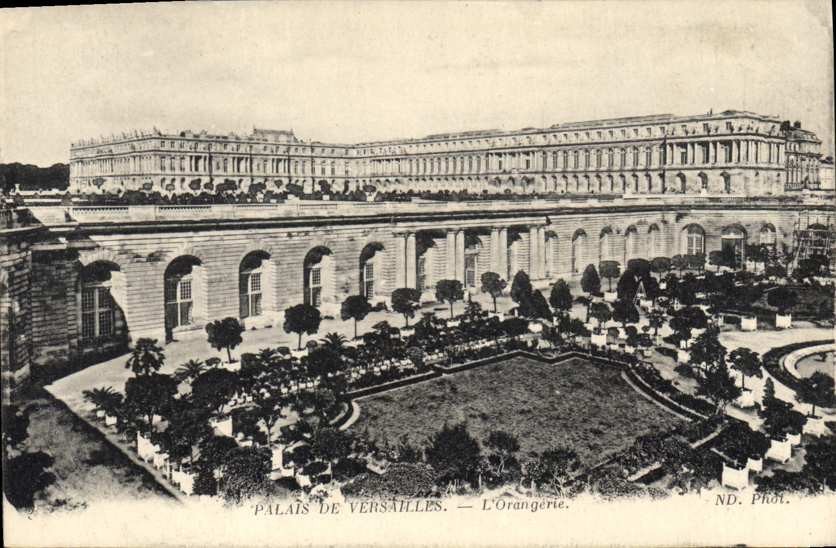 CPA Palais de Versailles L'Orangerie 