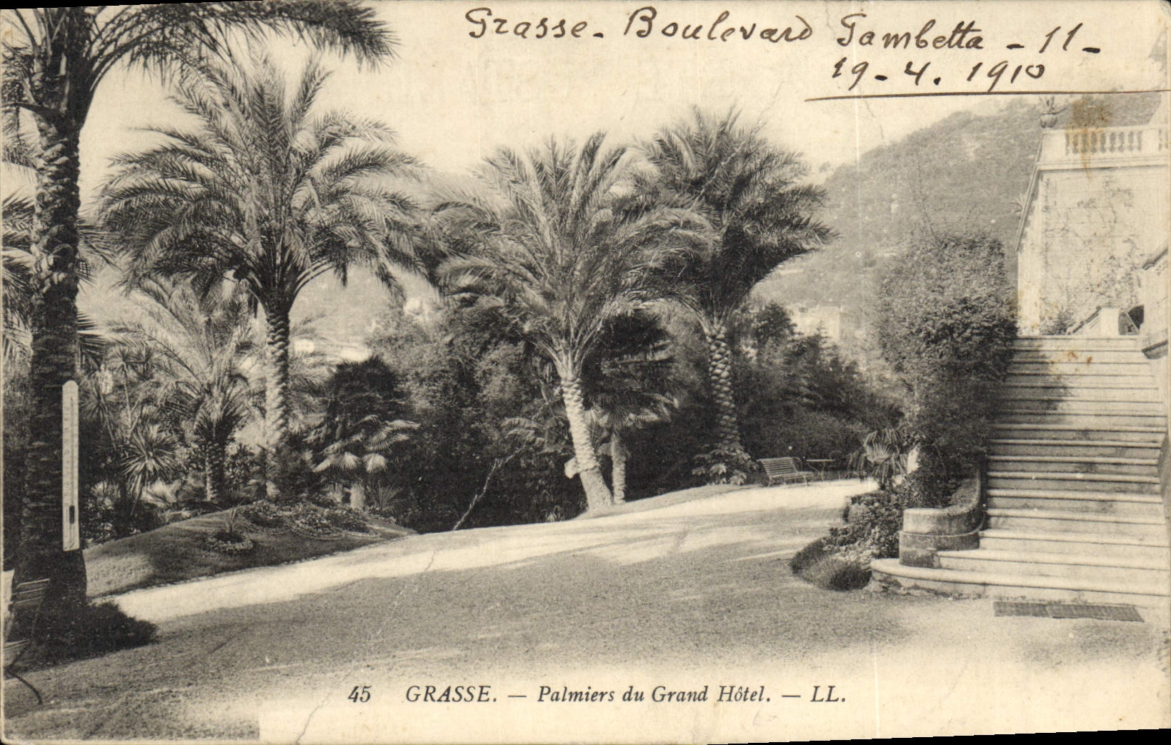 CPA Grasse Palmiers du Grand Hotel 