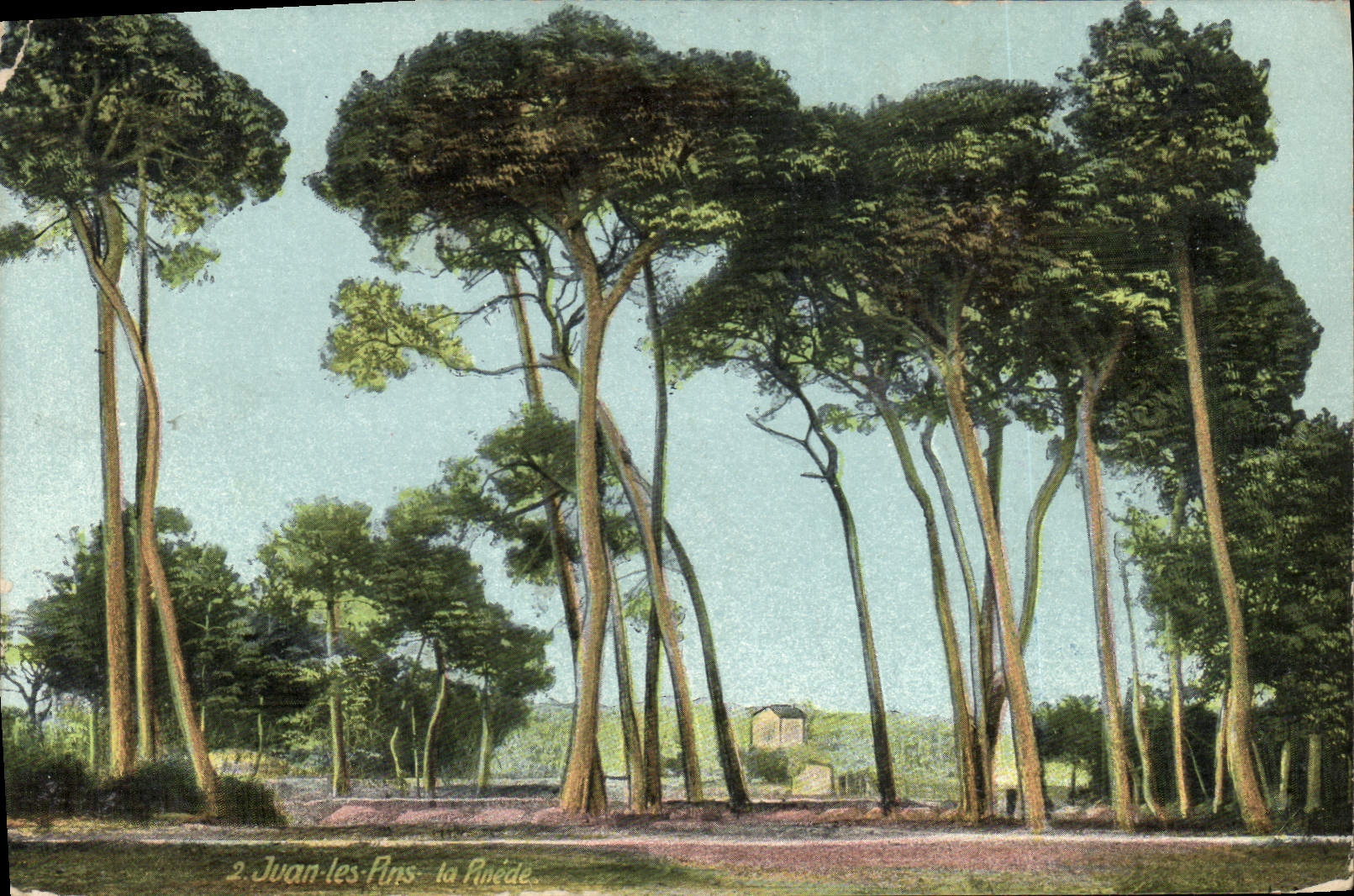 CPA Juan les Pins 