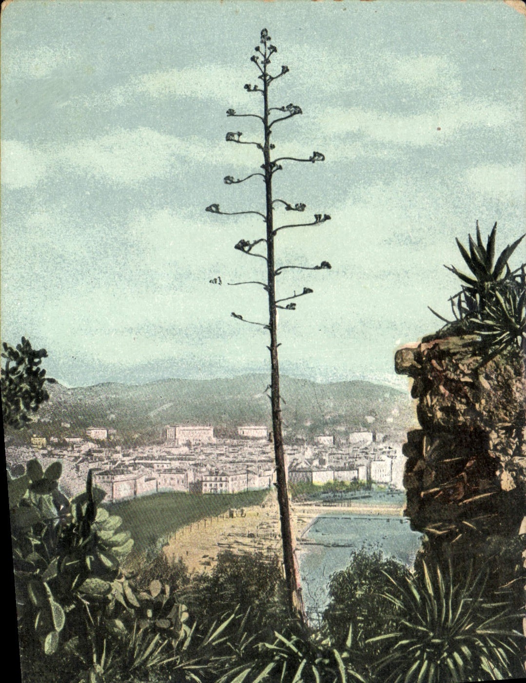 CPA Cannes Vue prise du Mont Chevalier