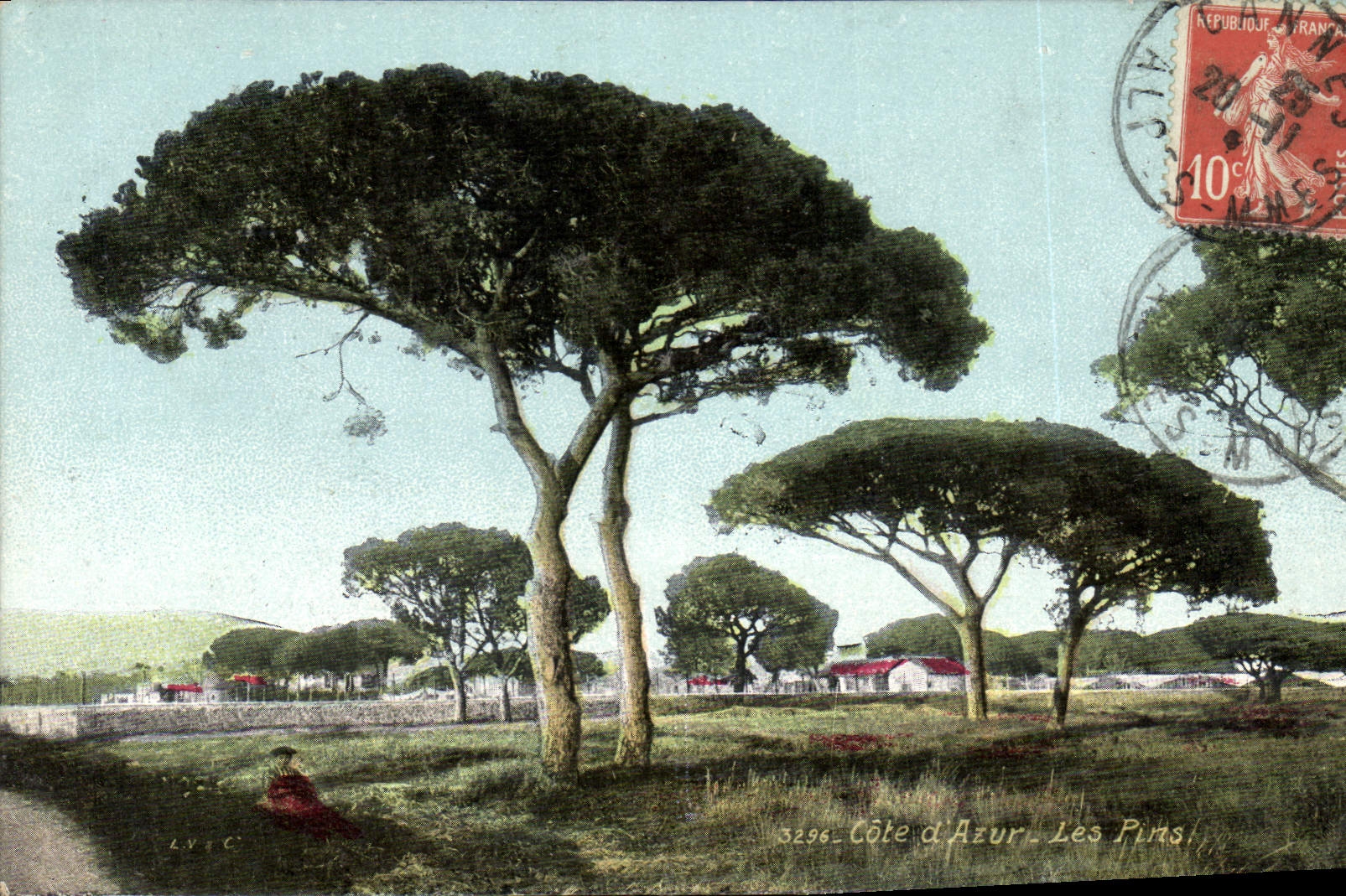 CPA Cote d'Azur Les Pins 