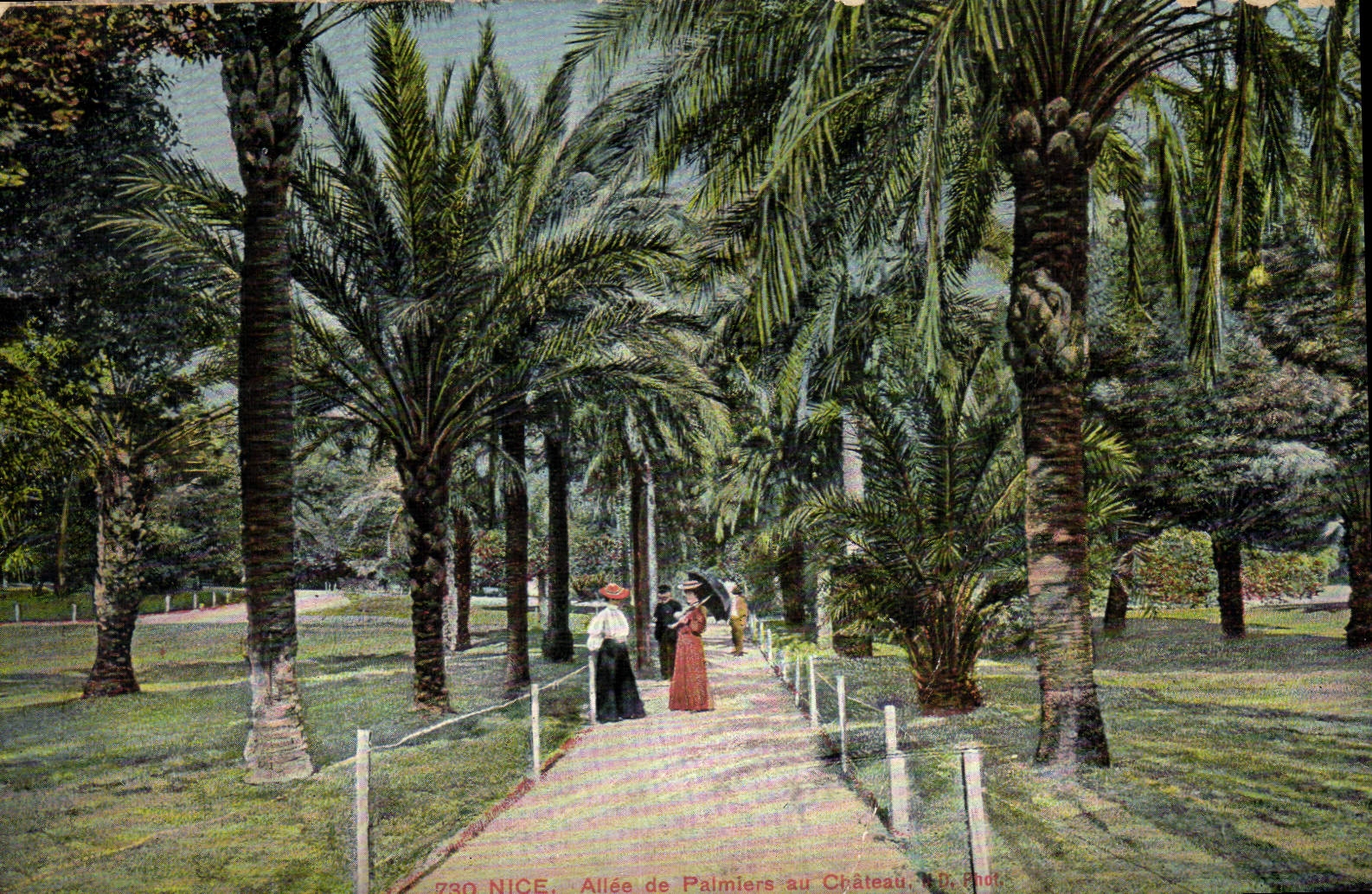 CPA Nice Allee de Palmiers au Chateau 