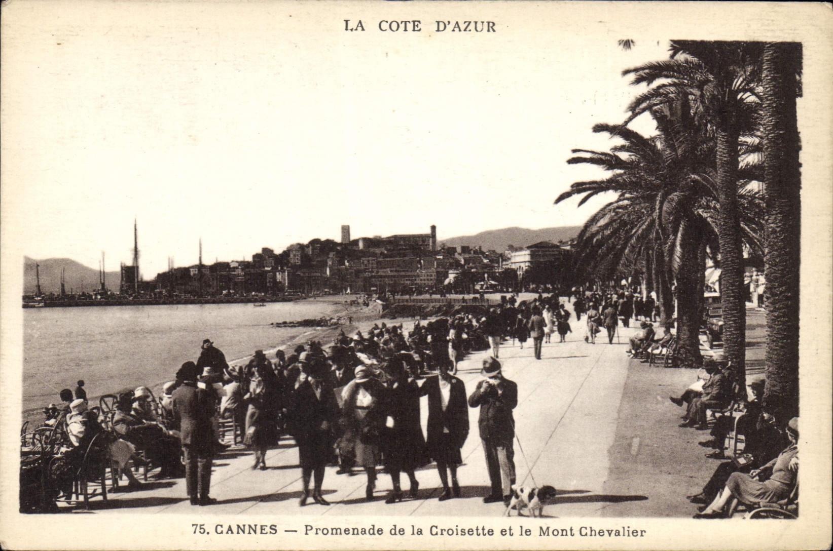 CPA Cannes Promenade de la Croisette et le Mont Chevalier 