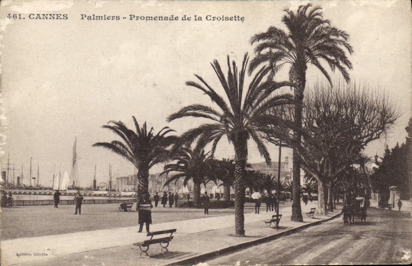 CPA Cannes Palmiers Promenade de la Croisette 