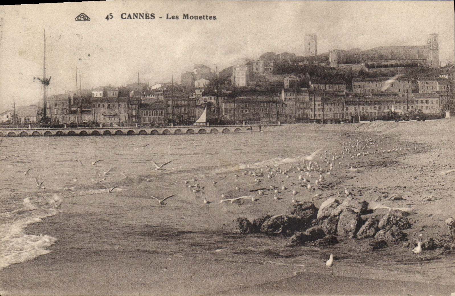 CPA Cannes Les Mouettes 