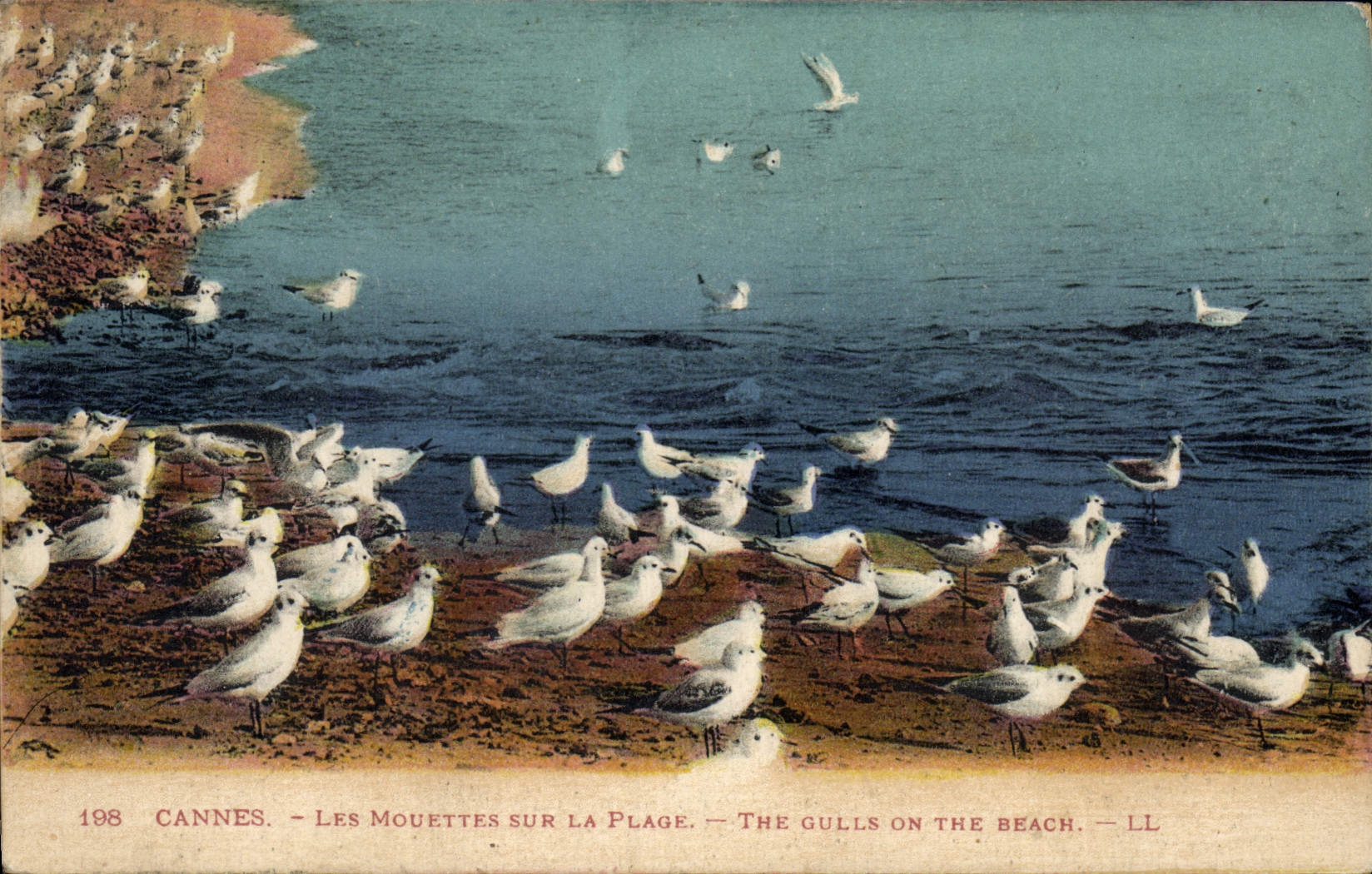 CPA Cannes Les Mouettes sur la Plage 