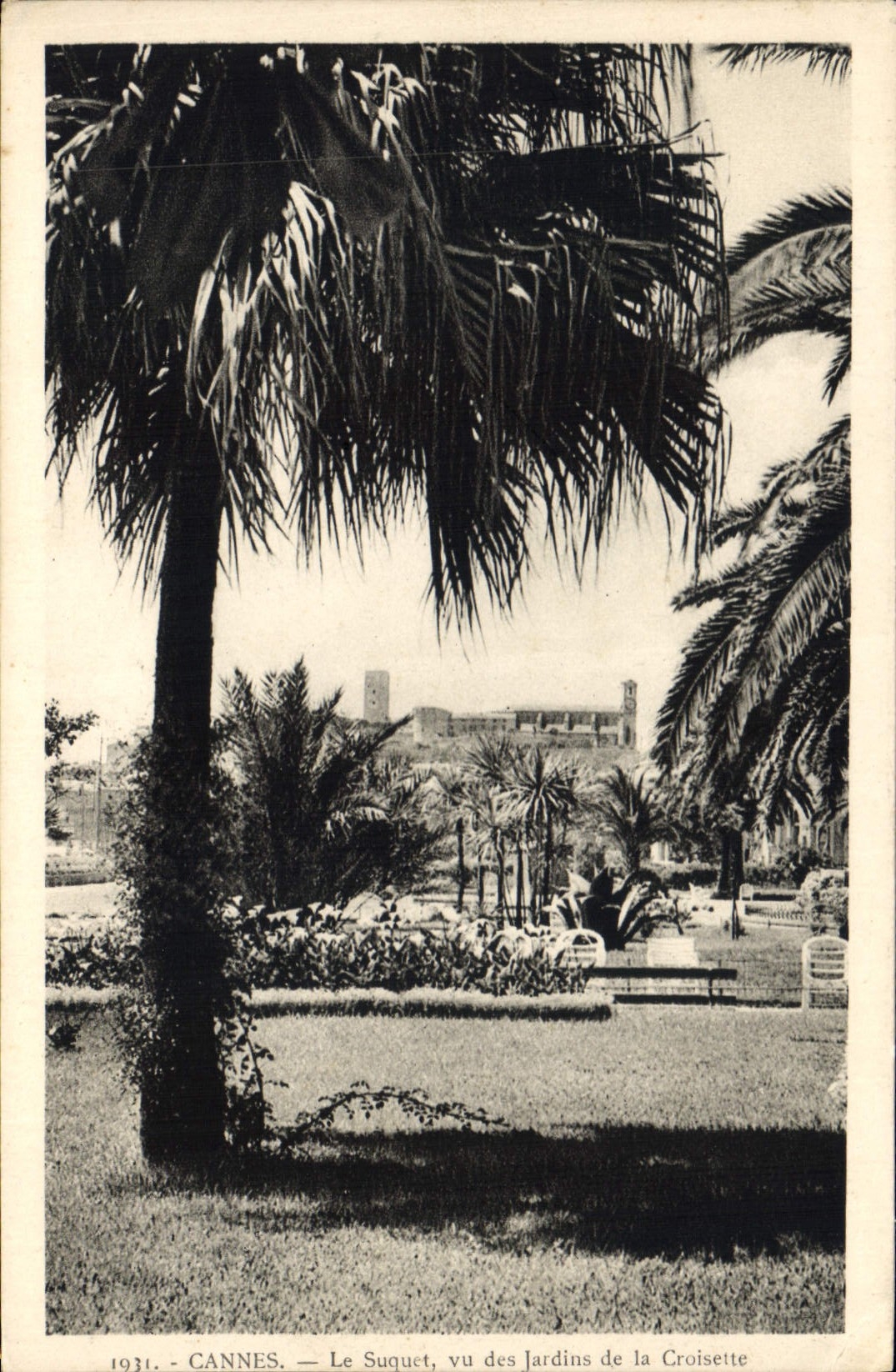 CPA Cannes Le Suquet vu des Jardins de la Croisette 