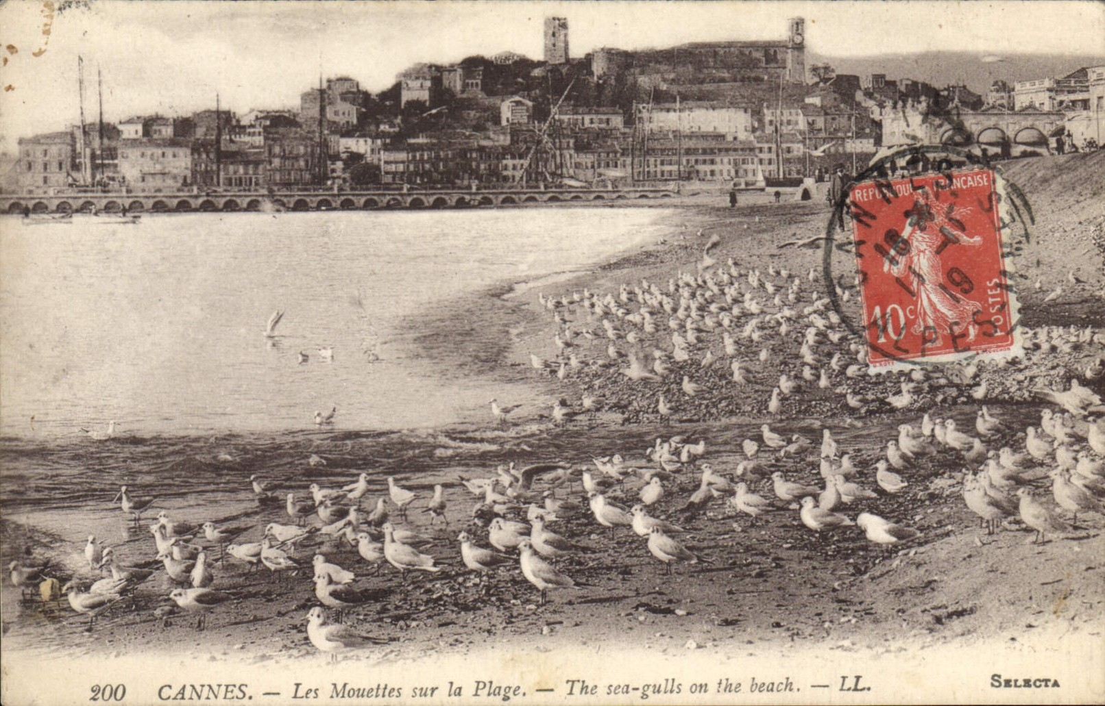 CPA Cannes Les Mouettes sur la Plage 