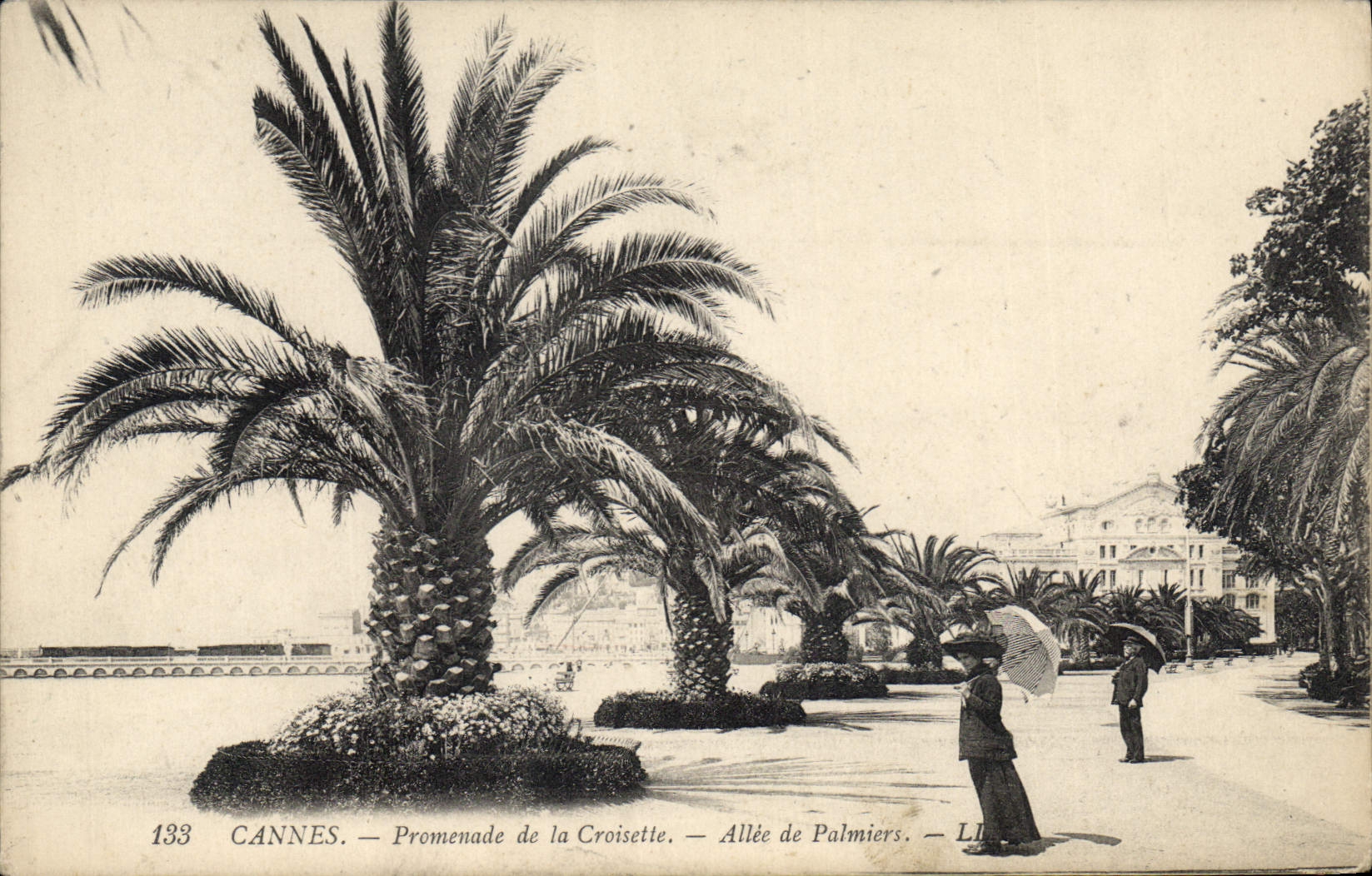 CPA Cannes Promenade de la Croisette Allee de Palmiers 