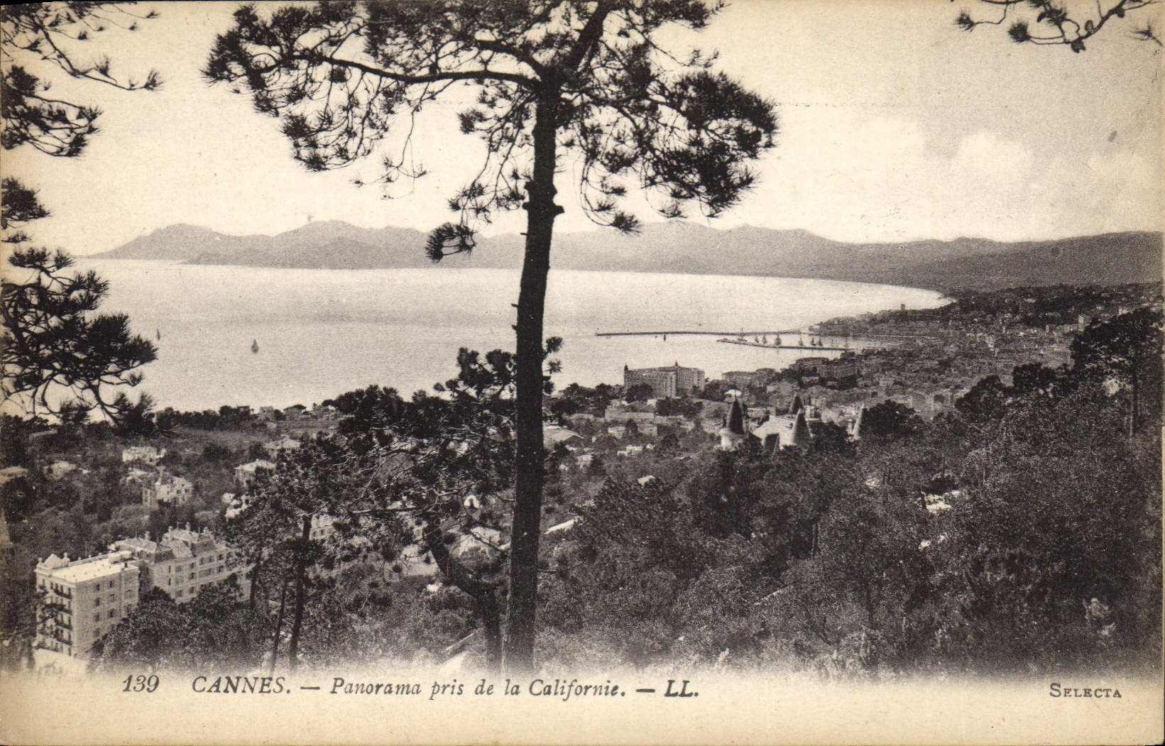 CPA Cannes Panorama pris de la Californie 