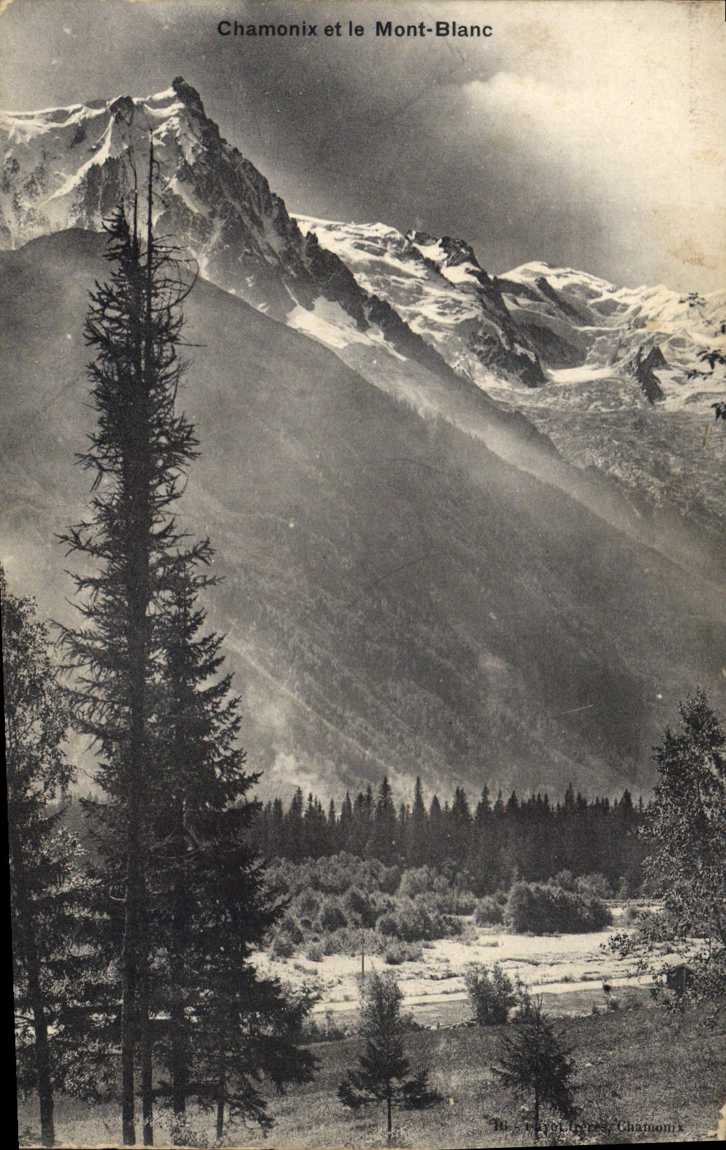 CPA Chamonix et le Mont Blanc