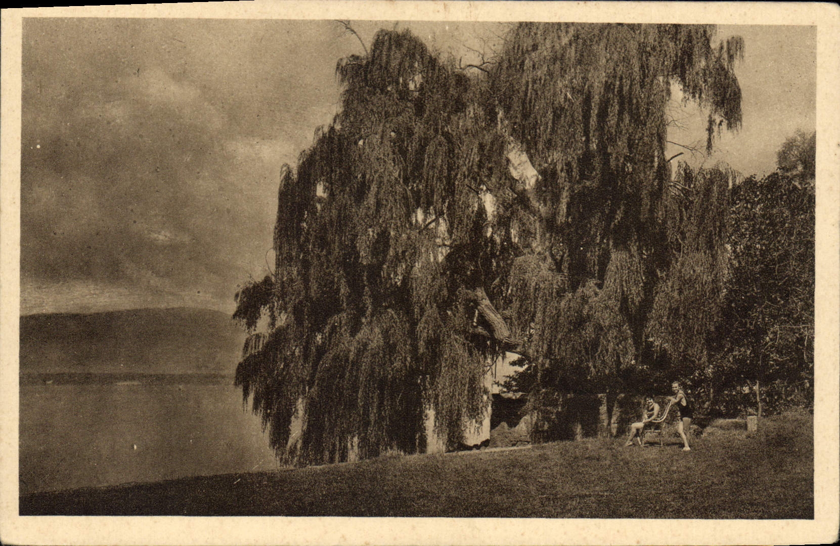 CPA Bord du Lac Leman Messerv Hte Savoie 