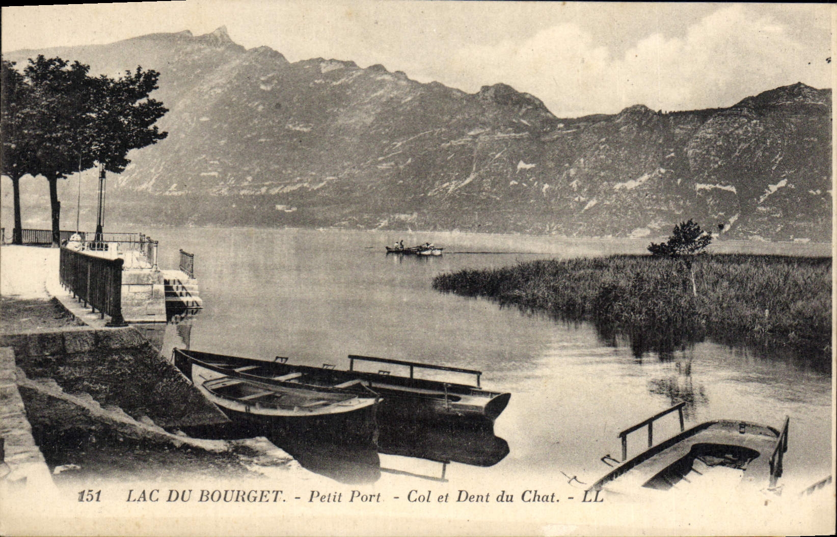 CPA Lac du Bourget Petit Port Col et Dent du Chat